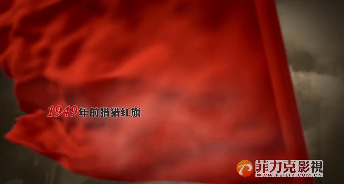 政府宣傳片的類型與其重要性有哪些?